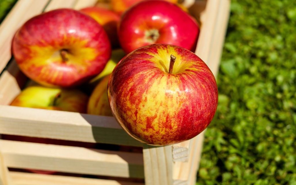 autumn apples, an apple a day, apple season, apple desserts, Suesey Street